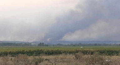 Komşudaki yangınlar 16'ncı gününde! Alevler Edirne sınırına dayandı