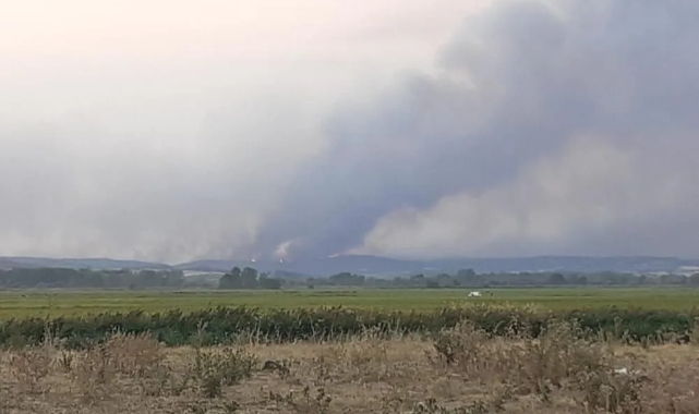 Komşudaki yangınlar 16'ncı gününde! Alevler Edirne sınırına dayandı