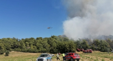 Manavgat'taki yangına müdahale ediliyor
