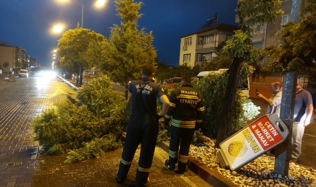 Manisa’da fırtına ağaçları devirdi
