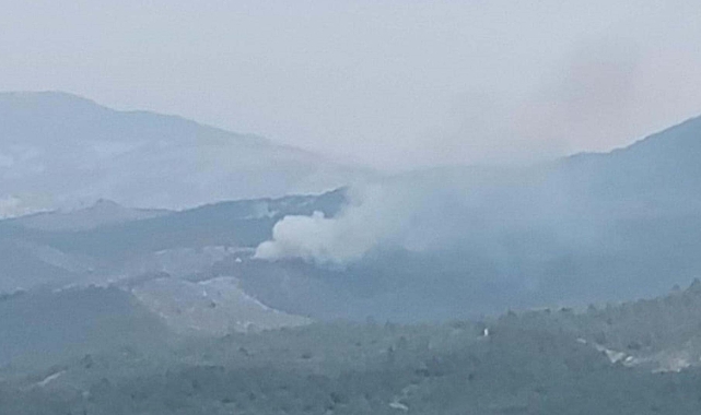 Manisa'da orman yangını! Ekiplerin müdahalesi sürüyor