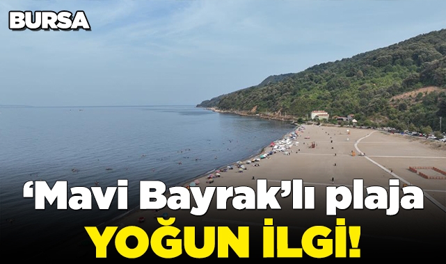 'Mavi Bayrak'lı plaja yoğun ilgi!