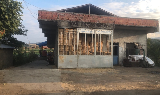 Miras kavgasında kuzeni kaçınca 4 büyükbaşı öldürdü