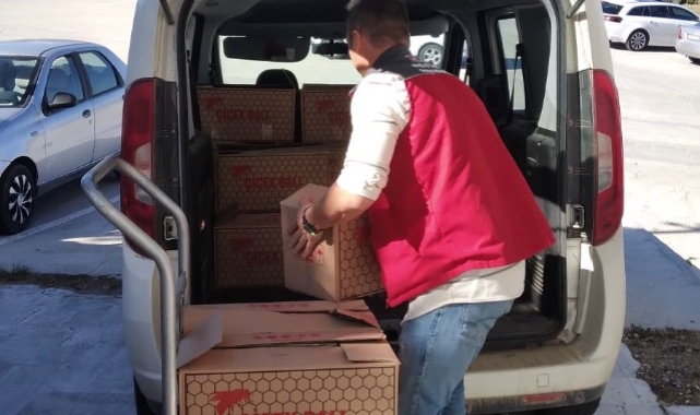Muğla'da 500 kilo bandrolsüz bal yakalandı