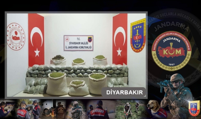 Narkoterör operasyonu! Tam 2 milyon kök...