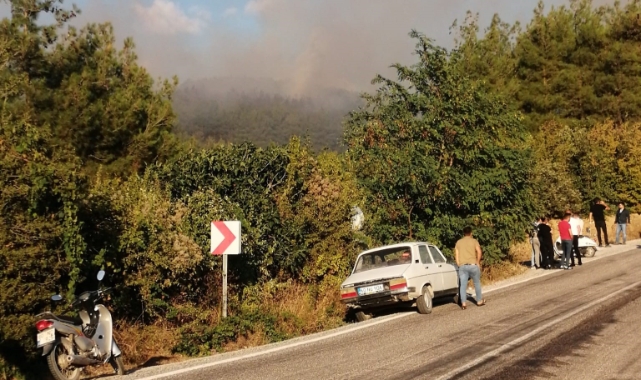 Orman yangını ekipleri harekete geçirdi