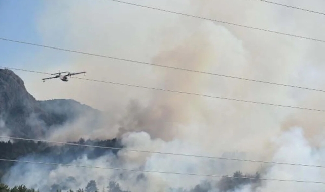 Orman yangınına müdahale eden helikopter baraja düştü