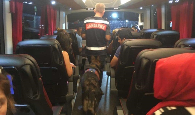 Otobüste uyuşturucu ile yakalandı