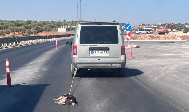 Otomobile bağladığı köpeği sürükleyerek öldürdü