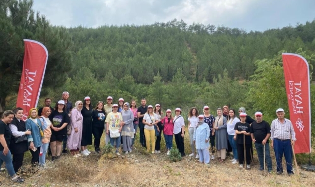 Sağlık çalışanları ağaçların da bakımını yaptı