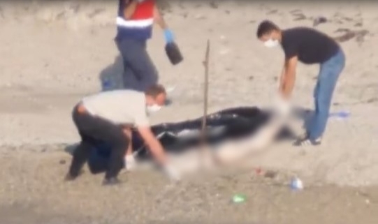Sahilde dehşete düşüren görüntü! Uzuvları olmayan ceset...