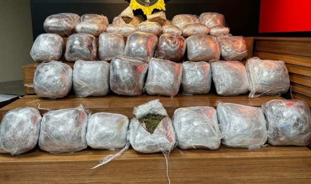Şanlıurfa’da 64 kilogram skunk ele geçirildi: 11 tutuklama