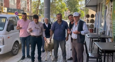 Servisçiler sezonu kurbanlar keserek karşıladı