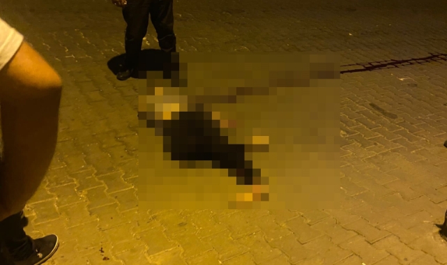 Siirt’te 6. katın balkonundan düşen genç hayatını kaybetti