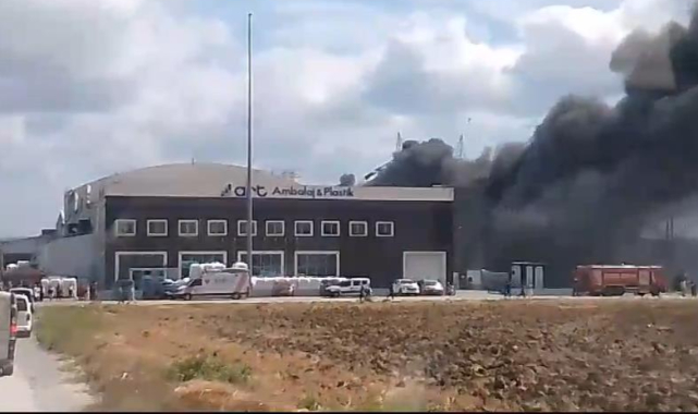 Silivri'de tarlada başlayan yangın fabrikalara sıçradı