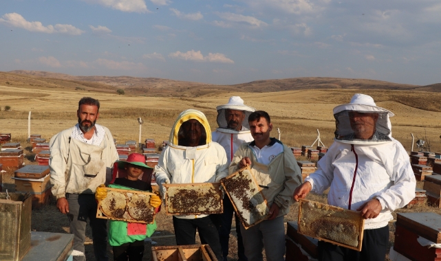 Sivas çiçek balı üretiminde ilk sırada