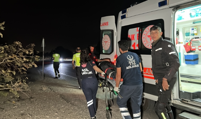 Trafik tabelasına çarpan motosiklet fındık bahçesine uçtu