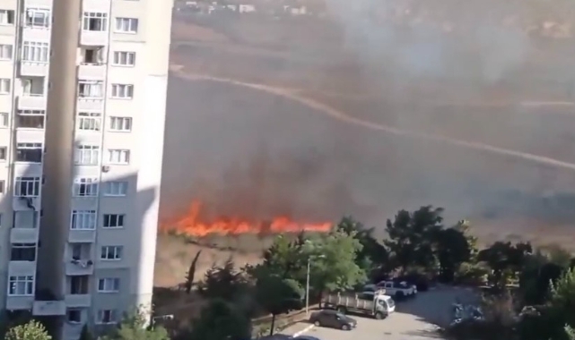 Tuzla'da orman yangını