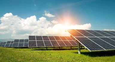 Ulusal bal markası, güneş enerjisi santralı kurdu