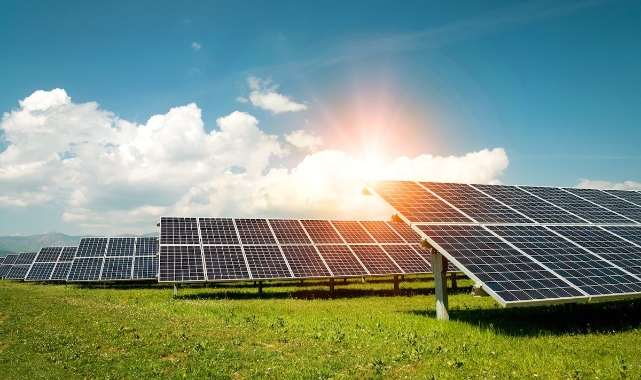 Ulusal bal markası, güneş enerjisi santralı kurdu