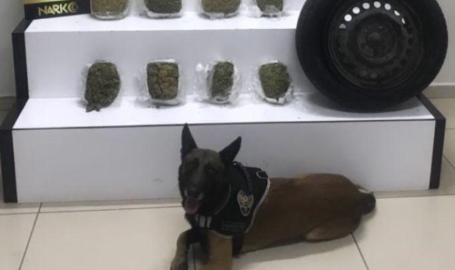 Uyuşturucu tacirleri Cash’in dikkatinden kaçamadı