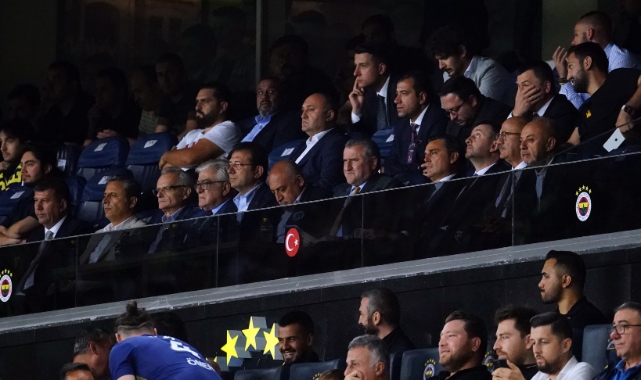 Vincenzo Montella, Fenerbahçe - Nordsjaelland maçında