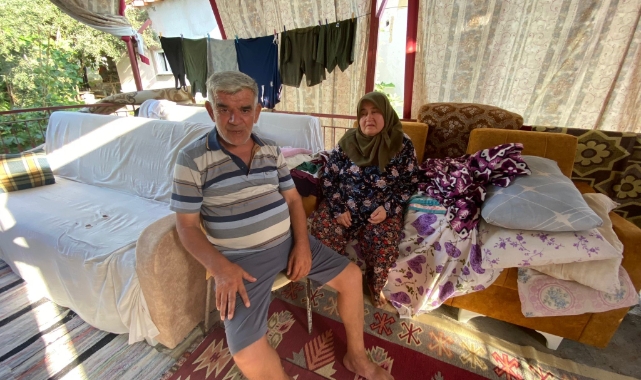 Yangında evleri küle döndü, balkon yuvaları oldu