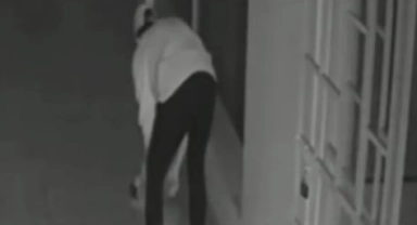 Yavru köpeği öldüren sanık yargılanıyor