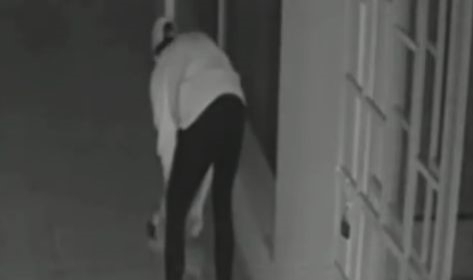 Yavru köpeği öldüren sanık yargılanıyor