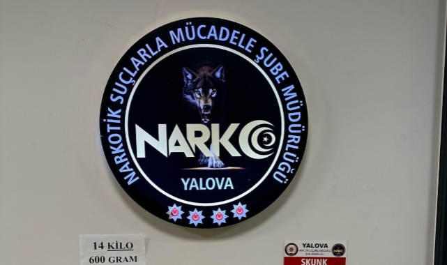 14 kilo 600 gram skunk ele geçirildi