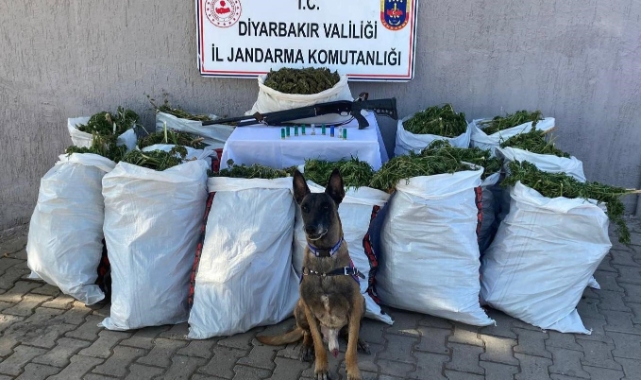 177 kilo uyuşturucu ele geçirildi!