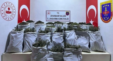 6 ayrı noktada 543 kilo uyuşturucu ele geçirildi