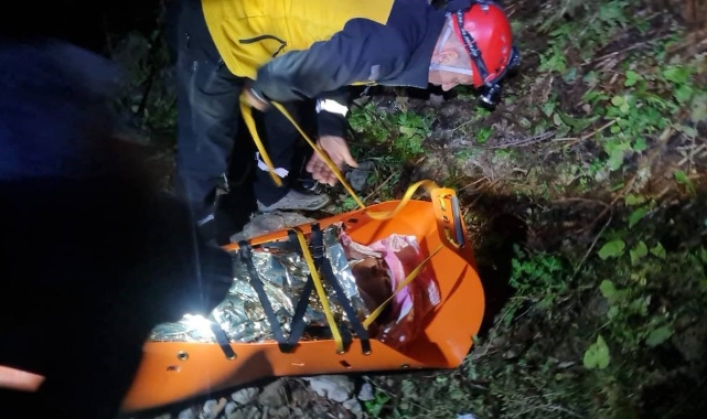 Artvin’de kamyonet uçuruma yuvarlandı: 3 yaralı