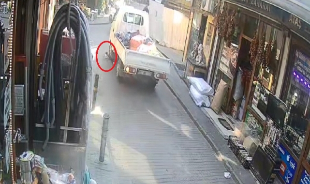 Böyle Vicdansızlık Görülmedi! Ters Yöne Girdi, Kediyi Ezip Gitti