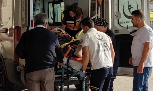Bursa'da ağaçtan düşen yaşlı adam ölümden döndü