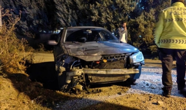 Bursa'da otomobil ağaca çarpıp devrildi!