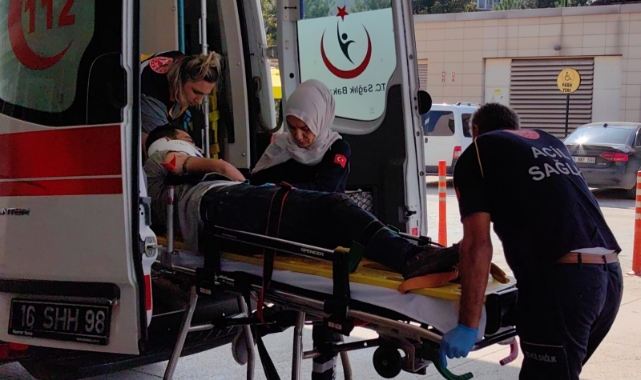 Bursa'da tomruk kazası: Şoför ağır yaralandı
