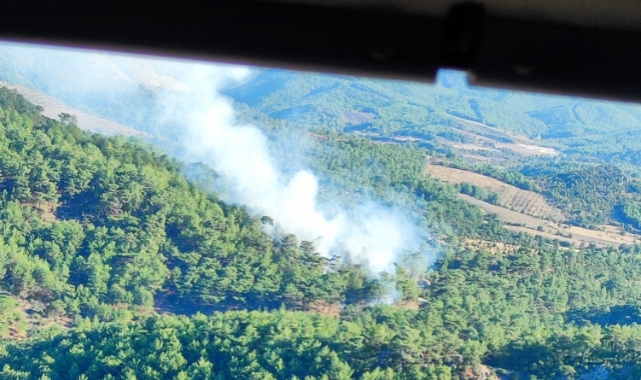 Çanakkale’de orman yangını çıktı