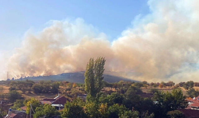 Eskişehir’de orman yangını