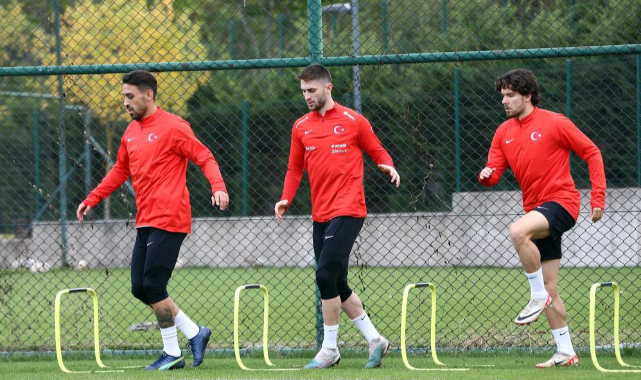 Fenerbahçe'de 12 futbolcu milli mesaide