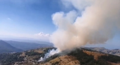 İzmir'deki orman yangını kontrol altında