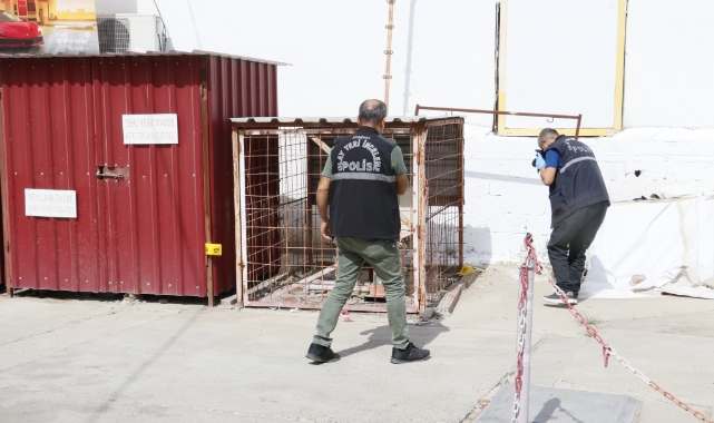 Kar maskeli şahıs istasyonda bir kişiyi vurup kaçtı