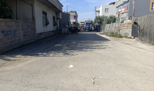 Karısını öldüren adam 'Galiba eşimi öldürdüm' diye bağırdı