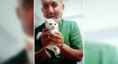 Kedilere mama vermeye çalışırken canından oldu