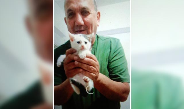 Kedilere mama vermeye çalışırken canından oldu