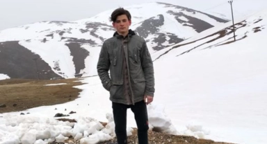 Kesilen ağacın altında kalıp hayatını kaybetti