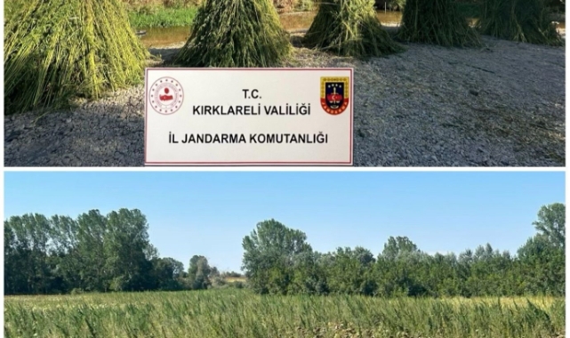 Kırklareli’nde çok sayıda uyuşturucu ele geçirildi