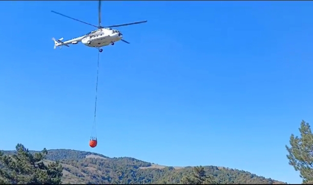 Kütahya'da orman yangını
