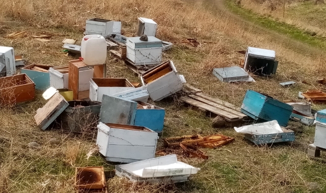 Muş’ta aç kalan ayılar arı kovanlarına saldırdı