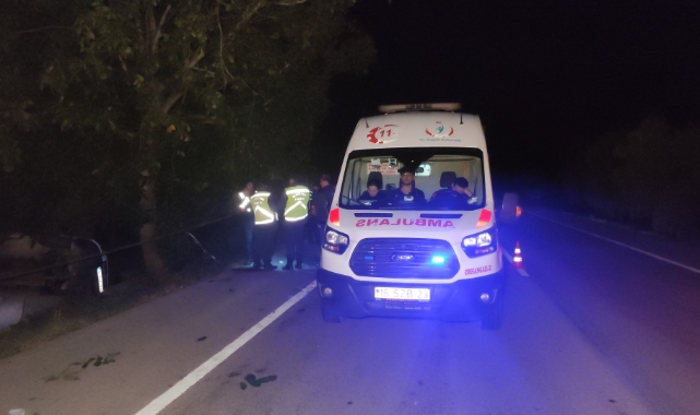 Orhangazi'de araç zeytinliğe uçtu: 2 ölü